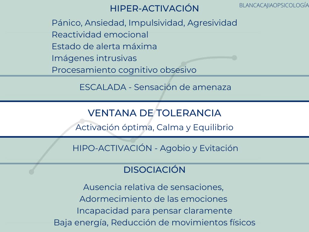 Qu Es La Ventana De Tolerancia Y Por Qu Es Tan Importante